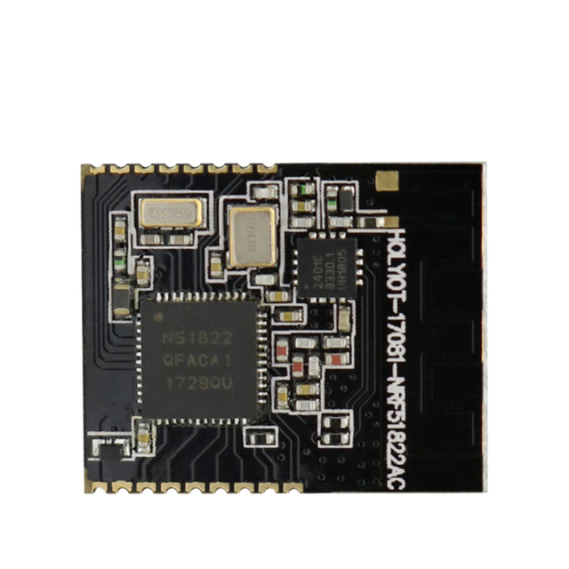 Holyiot Bluetooth BLE Chip Nordic NRF51822 4.2 Bluetooth Low Energy Module