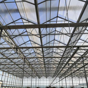 8X30M Gegalvaniseerde Stalen Buiskas | Commerciële Kweektunnel Met Plastic Folie Voor Groente-En Gewasteelt - Product Image 6