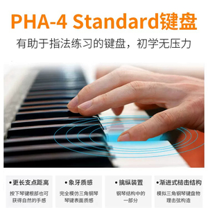 Rolands-<span class=keywords><strong>Piano</strong></span> <span class=keywords><strong>Digital</strong></span> RP102/<span class=keywords><strong>Roland</strong></span> RP 102, <span class=keywords><strong>piano</strong></span> vertical, 88 teclas, sonido de <span class=keywords><strong>piano</strong></span> - Product Image 5