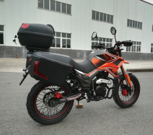 FUEGO <strong>TEKKEN</strong> 250 Cheap for Sale <strong>250cc</strong> All Terrain <strong>Motorcycle</strong> 11190155 - Product Image 2