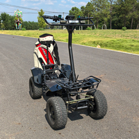 Carrito de Golf Plegable de 4000W a Precio de Fábrica, Mini Carrito de Golf de 1 Plaza, Buggy de Golf 60V 4x4, Carrito de Golf Eléctrico Utilitario de 1 Plaza