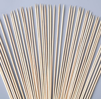 Bbk/3 usine d'approvisionnement écologique 10 pouces 12 bâtonnets de Bbq biodégradables jetables pour la viande de camping