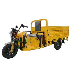 Venta directa de fábrica, motocicleta eléctrica de alta calidad, triciclo eléctrico de pasajeros de camión de tres ruedas de 800W para adultos - Product Image 1
