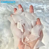 Machines à glace Coldsmart pour usine de fabrication, machine à glace en flocons de 5 tonnes en acier inoxydable pour la vente en gros de produits de la mer