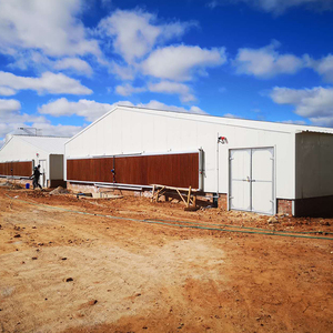 Máquina de fabricación de piensos para aves de corral, equipo de cría de aves de corral para 10000 pollos - Product Image 2