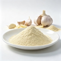 Ekstrak Bawang Putih Allicin Grosir Massal 10:1 20:1 Bubuk Allium Sativum untuk Campuran Rempah-rempah, Suplemen, dan Formula Senyawa