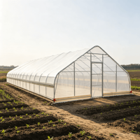 Serre de jardin moderne 25x60 pieds, tente de culture préfabriquée en acier galvanisé, alternative imperméable pour la culture à domicile dans la cour, facilement assemblable