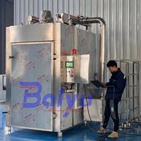 Baiyu automatique séché à la vapeur crevette poisson-chat viande chambre à fumée Machine fumeur à froid générateur four saumon viande produit fabrication