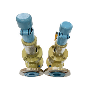 Válvula de seguridad Yoy Eiichi de 16 bar con conexión de brida, para vapor, de elevación completa, accionada por resorte, de efecto directo - Product Image 1