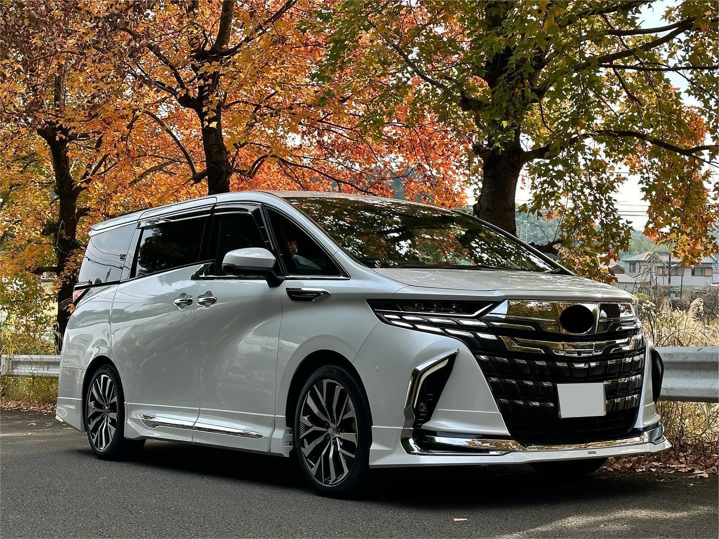 【ALPHARD40】 Wald for Toyota Alphard 40 2023+ Body Kit – CarGym