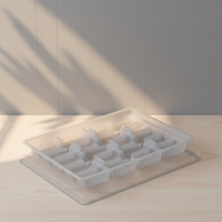 Op maat gemaakte luxe voedselveilige PP blisterverpakking, recyclebaar, 0,3 mm dik, voor chocoladesnacks, voor aangepast merk