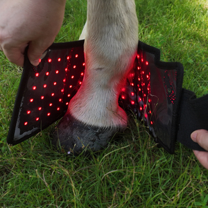Lampada LED per Terapia Equina con Luce Rossa e Infrarossi, Tappetino per Terapia della Luce Rossa per Cavalli - Product Image 1