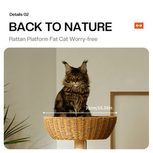 Lüks Modern mobilya büyük kedi ağacı kulesi Rattan dokuma ahşap Sisal <span class=keywords><strong>Pet</strong></span> tırmanma Scratcher <span class=keywords><strong>Post</strong></span> kınamak kedi ağaçları ev - Product Image 4