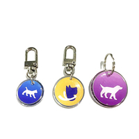 Mini-plaque d'identification pour chien avec code QR dynamique personnalisé, RFID, contrôle d'accès, NFC, anti-perte, étanche, puce NTAG213, mémoire 0-888 octets