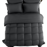 Ensemble de literie alternative en duvet Lit d'été Couvre-lits matelassés Smart Comforter Home Duvet 100% Cotton Quilt set