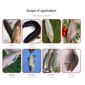 Macchina per la pulizia del pesce in acciaio inossidabile 7 secondi/pesce ad alta efficienza - Product Image 5
