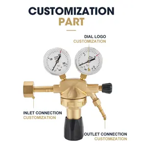 Fully Brass European Type Industrial Oxygen O2 Welding/Cutting Pressure Regulator With W21.8 Or Customized Inlet Connection