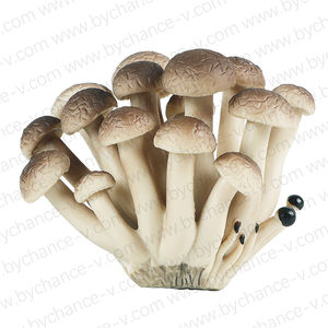 Modelo de Hongo Ostra Artificial Realista para Exhibición en Museos, Accesorios Educativos de Comida Falsa - Product Image 6