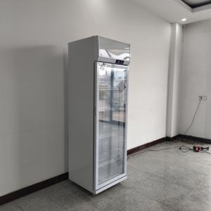 Nevera comercial con puerta de vidrio, <span class=keywords><strong>congelador</strong></span> <span class=keywords><strong>Vertical</strong></span> de bajo consumo, estante ajustable, <span class=keywords><strong>Vitrina</strong></span> refrigerada - Product Image 5