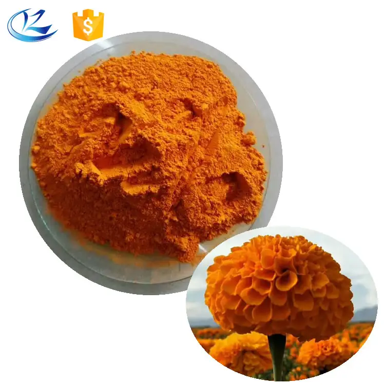 Natural Organic Marigold Extract Lutein Oil Herbal Extract Solvent-Extracted Packaged in Drum