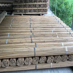 Bambou brut de bonne qualité, grand piquet de bambou brut