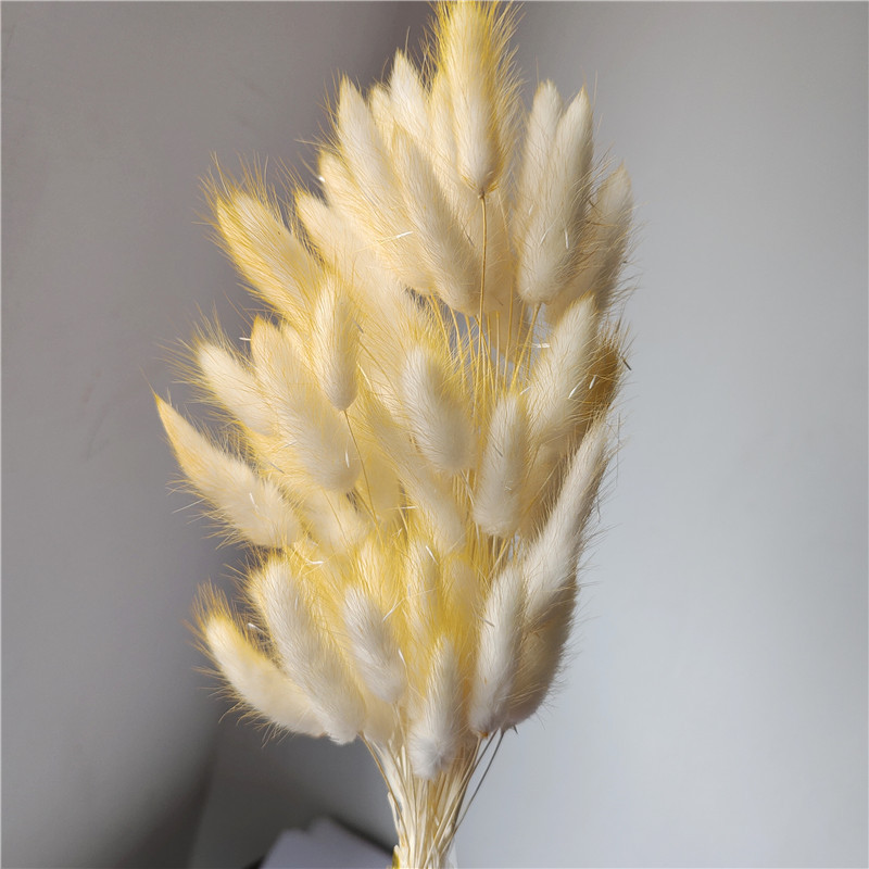Yellow 1