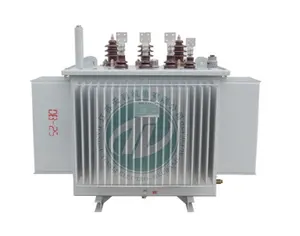 전력 변압기 전기 장비 인버터 전기 변압기 1250KVA 공장용 에너지 절약 mv & hv 변압기