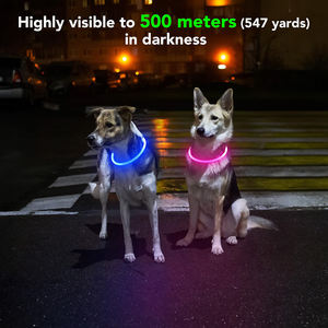 Pequeño personalizado de seguridad iluminar naranja Rosa luz luminosa personalizado grande inteligente mascota de silicona reflectante impermeable perro Led <span class=keywords><strong>Collar</strong></span> - Product Image 3