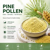 100% Reines Wildes Kiefernpollen mit Gebrochener Zellwand Organisches Natürliches Masson-Kiefernpollen-Pulver in Lebensmittelqualität