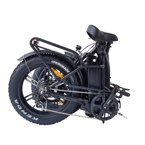 QUEENE/Vélo électrique à gros pneus à double moteur/Vélo électrique tout-terrain/Vélo électrique de plage - Product Image 6