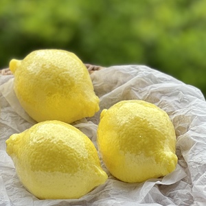 Barre de <span class=keywords><strong>savon</strong></span> naturel au citron visage corps peau <span class=keywords><strong>savon</strong></span> taches sombres zones intimes aisselles <span class=keywords><strong>savon</strong></span> au citron - Product Image 1