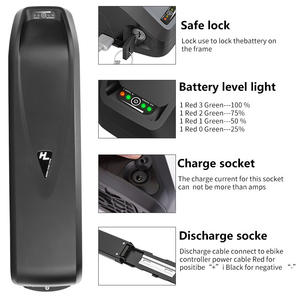 Batería de bicicleta eléctrica Hailong 48V de iones de litio 36V 48V 13Ah 15Ah batería de bicicleta eléctrica Downtube Ebike - Product Image 4