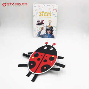 Jouets tiges de bricolage pour enfants, kits de science physique, <span class=keywords><strong>coccinelle</strong></span>, jeu pour étudiants et enfants, nouvelle collection - Product Image 1