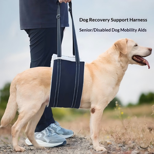 PetFit Imbracatura di Sollevamento per Cani in Tessuto Oxford Colorato per Cani Anziani, Infortunati o Disabili, con Cinghia Pettorale e Cintura Ausiliaria per la Camminata e il Supporto delle Zampe Posteriori - Product Image 3