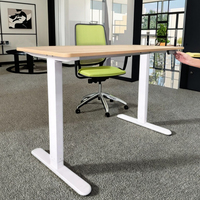Bureau debout électrique économique moderne à moteur unique et à double faisceau convertible en hauteur réglable pour la salle de sport à domicile nouveau bureau assis-debout