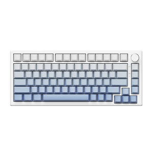 VXE A75 Gradient Màu Sắc PBT Keycaps Chơi Game Có Dây RGB Công Tắc Từ Bàn Phím Cơ Khí - Product Image 3