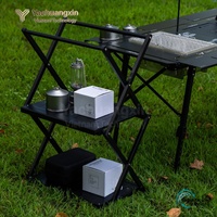 Étagère de rangement pliable à deux niveaux en alliage d'aluminium pour le camping en plein air, table multifonctionnelle portable au design moderne