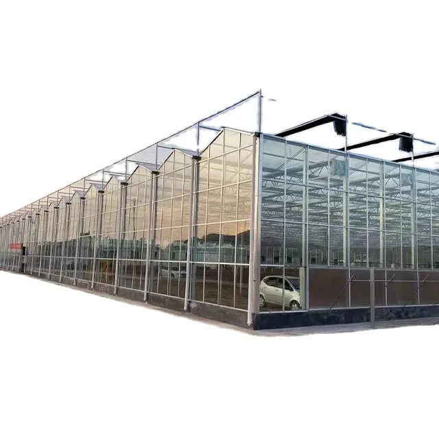 Large Glass Greenhouses for Tomato Plant Growth Hydroponic Agricultural Greenhouses Green Color