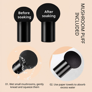 Cosméticos de marca blanca para mujer, belleza facial, crema BB, hidratante, impermeable, cojín de aire mágico, cremas <span class=keywords><strong>CC</strong></span> para base de maquillaje facial - Product Image 5
