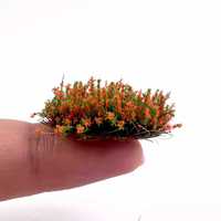 Modèle de Scénario : Grappes de Fleurs et d'Herbes, Plaque de Sable de Simulation, Miniature en Plastique pour DIY, Paysage Architectural, Figurine