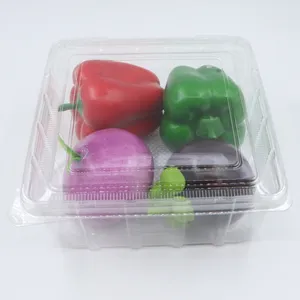 मांस के टुकड़ों, बिस्कुट, चीज़ ब्रेड, हैमबर्गर चीनी के लिए खाद्य पैकेजिंग के लिए अनुकूलित प्लास्टिक पारदर्शी सीलबंद बॉक्स