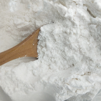 Carboximetilcelulosa de Sodio (CMC) en Polvo de Grado Alimenticio, Precio de Fábrica, 99% de Pureza, Certificación ISO9001, CAS 9004-32-4, Marca Deshang