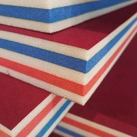 Tapis de lutte professionnels écologiques, imperméables, antidérapants et doux pour l'entraînement aux arts martiaux - Jiu-Jitsu, Judo, MMA