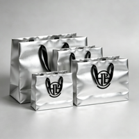 Tas Belanja Kertas Embos Custom dengan Logo Hot Silver, Hang Tag & Set Kemasan Kantong Plastik untuk Merek Ritel Fashion