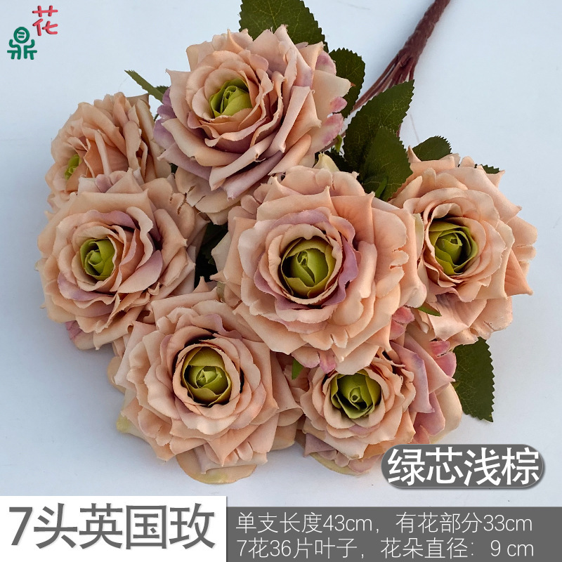 Rose britannique à 7 têtes DG Green Core marron clair