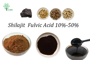 Grosir jumlah besar 50% asam <span class=keywords><strong>Fulvic</strong></span> dari bubuk ekstrak Shilajit - Product Image 5