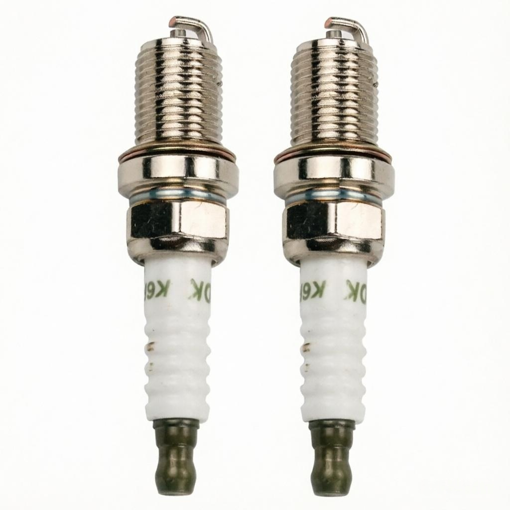 Comme le montre l'image