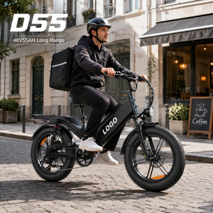 Bicicleta Eléctrica de Carga de 20 Pulgadas, 240 km de Autonomía, Motor de Alta Velocidad de 750W para Trabajos de Reparto a Larga Distancia, Precio Directo de Fábrica - Product Image 1
