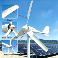 Système éolien à axe horizontal 3KW en gros, matériaux durables et installation facile pour les zones éloignées
