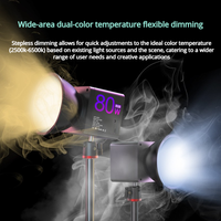 Lumière de remplissage 80W, portable, à main, COB, pour la prise de vue en extérieur, le streaming en direct, l'éclairage vidéo, la photographie dédiée, lumière de remplissage RGB